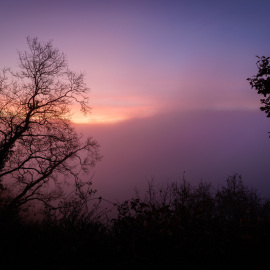 20211029-075544-Canon-EOS-R5-_-15-mm-_-06-Sek.-bei-f-80-_-ISO-100