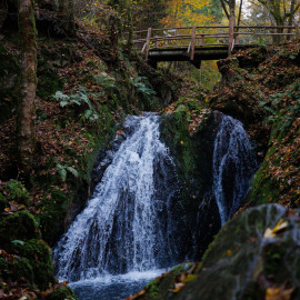 20211029-143434-Canon-EOS-R5-_-35-mm-_-1-800-Sek.-bei-f-28-_-ISO-6400