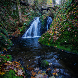 20211029-150720-Canon-EOS-R5-_-15-mm-_-1-6-Sek.-bei-f-28-_-ISO-100