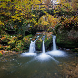 20211030-081415-Canon-EOS-R5-_-17-mm-_-50-Sek.-bei-f-80-_-ISO-1600