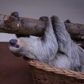 20211227-133459-Canon-EOS-R5-_-123-mm-_-1-50-Sek.-bei-f-63-_-ISO-1600