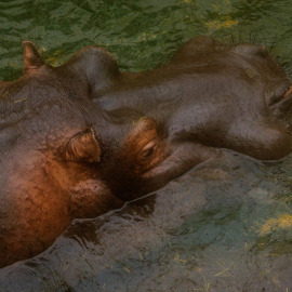 20211227-153856-Canon-EOS-R5-_-62-mm-_-1-50-Sek.-bei-f-63-_-ISO-1600