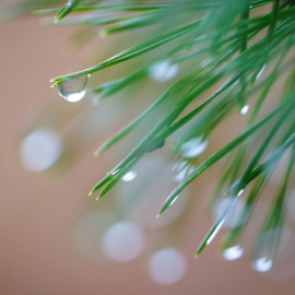 20220104-125504-Canon-EOS-R5-_-100-mm-_-1-60-Sek.-bei-f-28-_-ISO-250