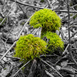 20220129-113757-Canon-EOS-R5-_-100-mm-_-04-Sek.-bei-f-16-_-ISO-100