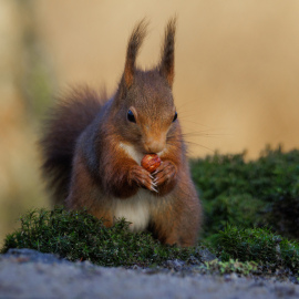 20220205-090436-Canon-EOS-R5-_-375-mm-_-1-320-Sek.-bei-f-63-_-ISO-1250