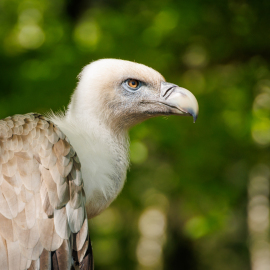 20220512-094641-Canon-EOS-R5-_-240-mm-_-1-200-Sek.-bei-f-63-_-ISO-125