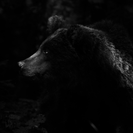 20220724-155707-Canon-EOS-R5-_-500-mm-_-1-250-Sek.-bei-f-71-_-ISO-1000