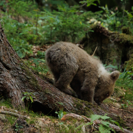 20220724-180225-Canon-EOS-R5-_-363-mm-_-1-250-Sek.-bei-f-63-_-ISO-5000