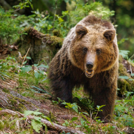 20220724-180345-Canon-EOS-R5-_-500-mm-_-1-250-Sek.-bei-f-71-_-ISO-6400