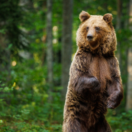 20220724-180820-Canon-EOS-R5-_-500-mm-_-1-250-Sek.-bei-f-71-_-ISO-5000