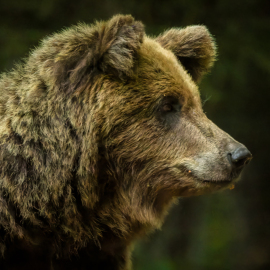 20220724-181621-Canon-EOS-R7-_-800-mm-_-1-800-Sek.-bei-f-11-_-ISO-12800