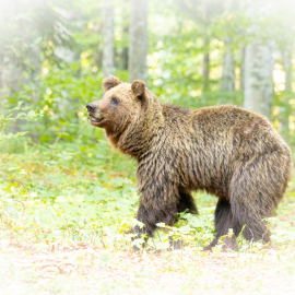 20220724-181732-Canon-EOS-R5-_-254-mm-_-1-250-Sek.-bei-f-50-_-ISO-2000