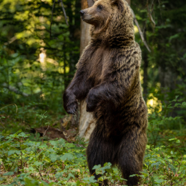 20220724-181740-Canon-EOS-R5-_-254-mm-_-1-250-Sek.-bei-f-50-_-ISO-2000