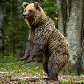 20220724-182313-Canon-EOS-R5-_-254-mm-_-1-250-Sek.-bei-f-50-_-ISO-2000