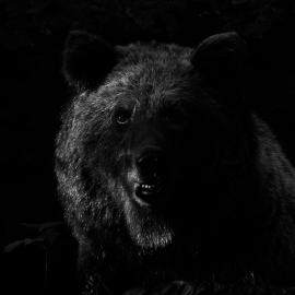 20220724-183330-Canon-EOS-R5-_-500-mm-_-1-250-Sek.-bei-f-71-_-ISO-3200