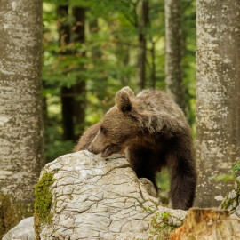 20220725-183822-Canon-EOS-R7-_-238-mm-_-1-500-Sek.-bei-f-56-_-ISO-8000