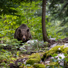 20220727-161050-Canon-EOS-R5-_-187-mm-_-1-200-Sek.-bei-f-28-_-ISO-320