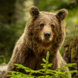 20220727-162001-Canon-EOS-R7-_-200-mm-_-1-200-Sek.-bei-f-28-_-ISO-200