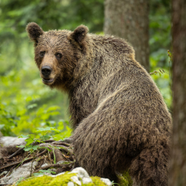 20220727-162056-Canon-EOS-R7-_-200-mm-_-1-200-Sek.-bei-f-28-_-ISO-250