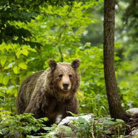 20220727-162225-Canon-EOS-R7-_-200-mm-_-1-200-Sek.-bei-f-28-_-ISO-500