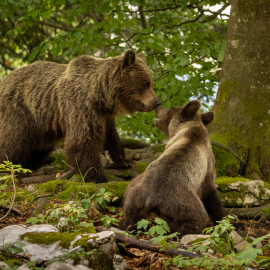 20220727-162701-Canon-EOS-R7-_-92-mm-_-1-200-Sek.-bei-f-28-_-ISO-640