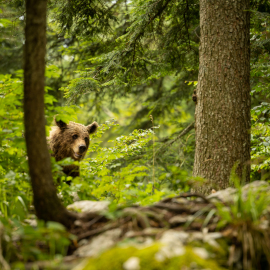 20220727-163609-Canon-EOS-R7-_-200-mm-_-1-200-Sek.-bei-f-28-_-ISO-500