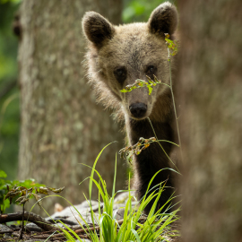 20220727-163733-Canon-EOS-R7-_-200-mm-_-1-200-Sek.-bei-f-28-_-ISO-640