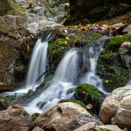 20220903-170514-Canon-EOS-R5-_-104-mm-_-10-Sek.-bei-f-22-_-ISO-320