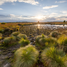 20220903-193015-Canon-EOS-R5-_-15-mm-_-1-40-Sek.-bei-f-80-_-ISO-100