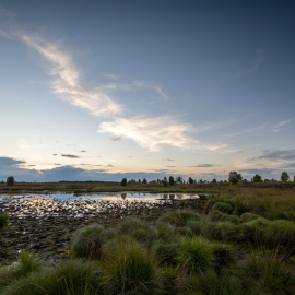 20220903-200649-Canon-EOS-R5-_-15-mm-_-1-15-Sek.-bei-f-11-_-ISO-100