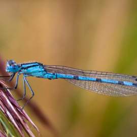 20220910-101410-Canon-EOS-R7-_-150-mm-_-1-320-Sek.-bei-f-80-_-ISO-500