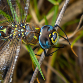 20220910-103955-Canon-EOS-R7-_-150-mm-_-1-160-Sek.-bei-f-63-_-ISO-100