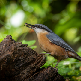 20220917-110024-Canon-EOS-R7-_-343-mm-_-1-400-Sek.-bei-f-56-_-ISO-250