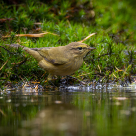 20220917-123850-Canon-EOS-R7-_-238-mm-_-1-400-Sek.-bei-f-50-_-ISO-800