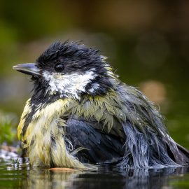 20220917-124012-Canon-EOS-R7-_-500-mm-_-1-400-Sek.-bei-f-71-_-ISO-1600