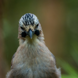 20220917-135126-Canon-EOS-R7-_-300-mm-_-1-400-Sek.-bei-f-56-_-ISO-800