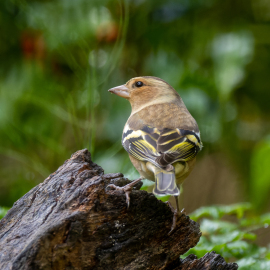 20220917-144248-Canon-EOS-R7-_-300-mm-_-1-400-Sek.-bei-f-56-_-ISO-1250