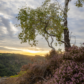 20221003-182910-Canon-EOS-R5-_-24-mm-_-1-30-Sek.-bei-f-16-_-ISO-100