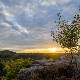 20221003-184739-Canon-EOS-R5-_-19-mm-_-1-30-Sek.-bei-f-16-_-ISO-100