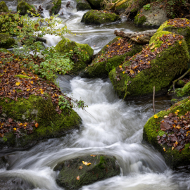 20221112-124217-Canon-EOS-R5-_-70-mm-_-1-4-Sek.-bei-f-16-_-ISO-100