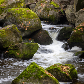 20221112-130925-Canon-EOS-R5-_-111-mm-_-1-8-Sek.-bei-f-16-_-ISO-400