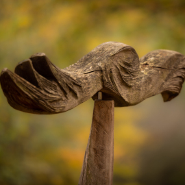 20221112-134529-Canon-EOS-R5-_-200-mm-_-1-60-Sek.-bei-f-28-_-ISO-100