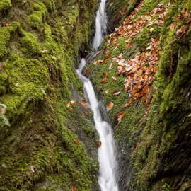 20221112-164957-Canon-EOS-R5-_-70-mm-_-1-8-Sek.-bei-f-56-_-ISO-200