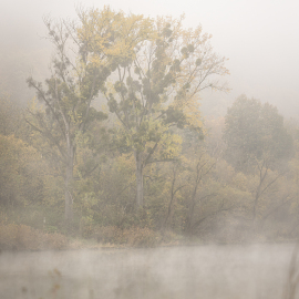 20221113-112249-Canon-EOS-R5-_-108-mm-_-1-250-Sek.-bei-f-28-_-ISO-100