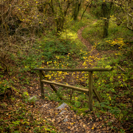 20221113-124432-Canon-EOS-R5-_-35-mm-_-1-15-Sek.-bei-f-80-_-ISO-400