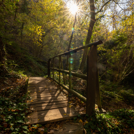 20221113-124752-Canon-EOS-R5-_-16-mm-_-1-25-Sek.-bei-f-16-_-ISO-400