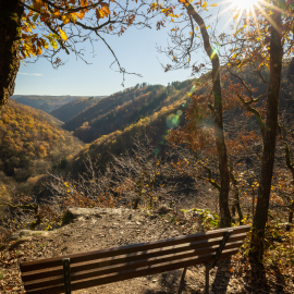 20221113-135727-Canon-EOS-R5-_-18-mm-_-1-80-Sek.-bei-f-16-_-ISO-400