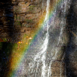 20221113-140708-Canon-EOS-R5-_-100-mm-_-1-80-Sek.-bei-f-56-_-ISO-400