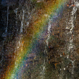 20221113-141710-Canon-EOS-R5-_-168-mm-_-1-250-Sek.-bei-f-56-_-ISO-400