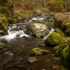 20221114-112320-Canon-EOS-R5-_-35-mm-_-05-Sek.-bei-f-80-_-ISO-100